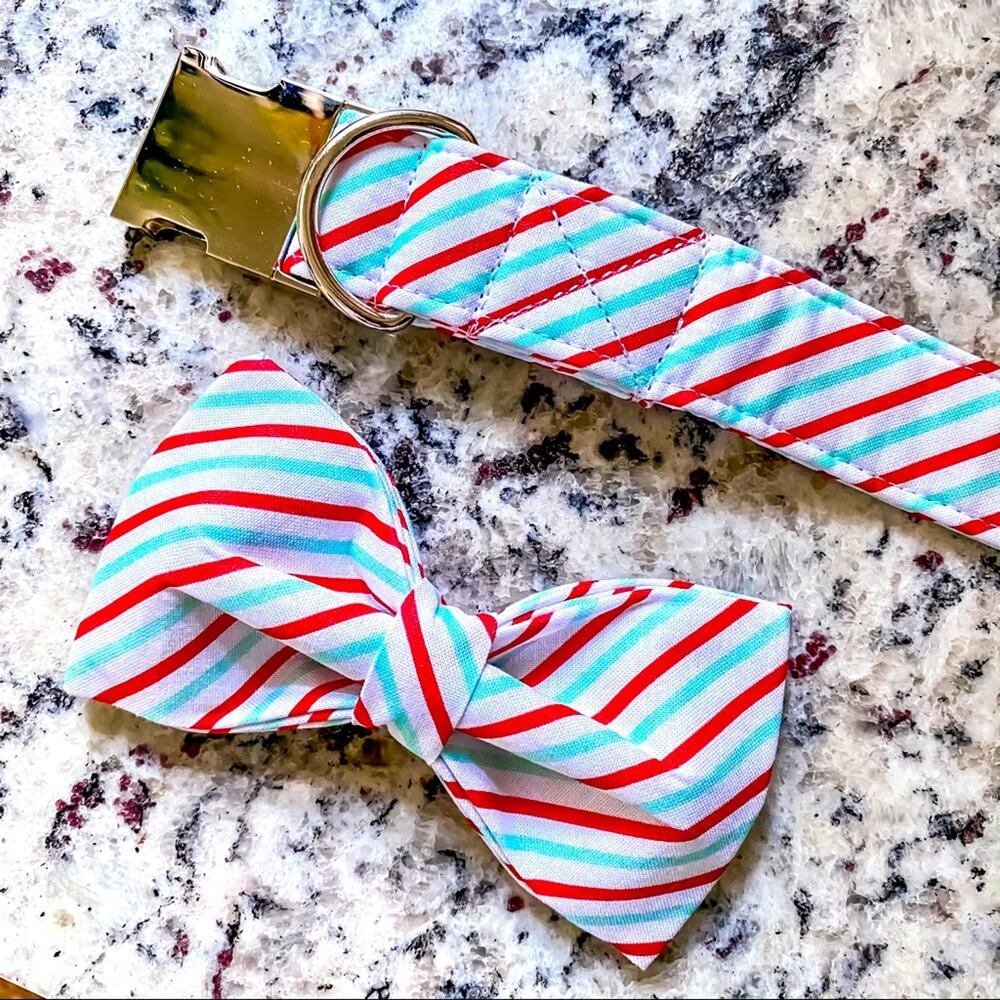 NWT • Red + Mint Striped Dog Bow + Collar